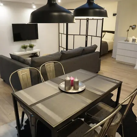아파트 Apartament Atelier *